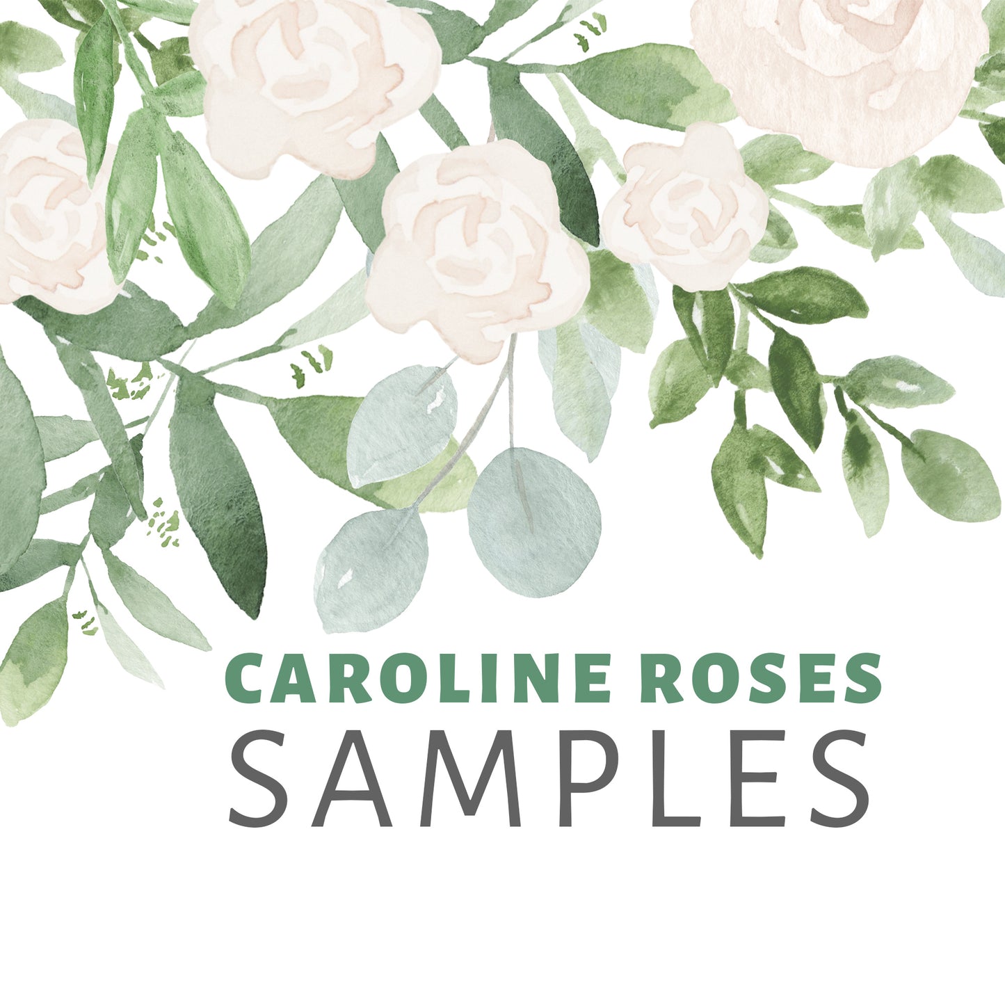 Wall Decal Border Caroline Roses Watercolor Flowers